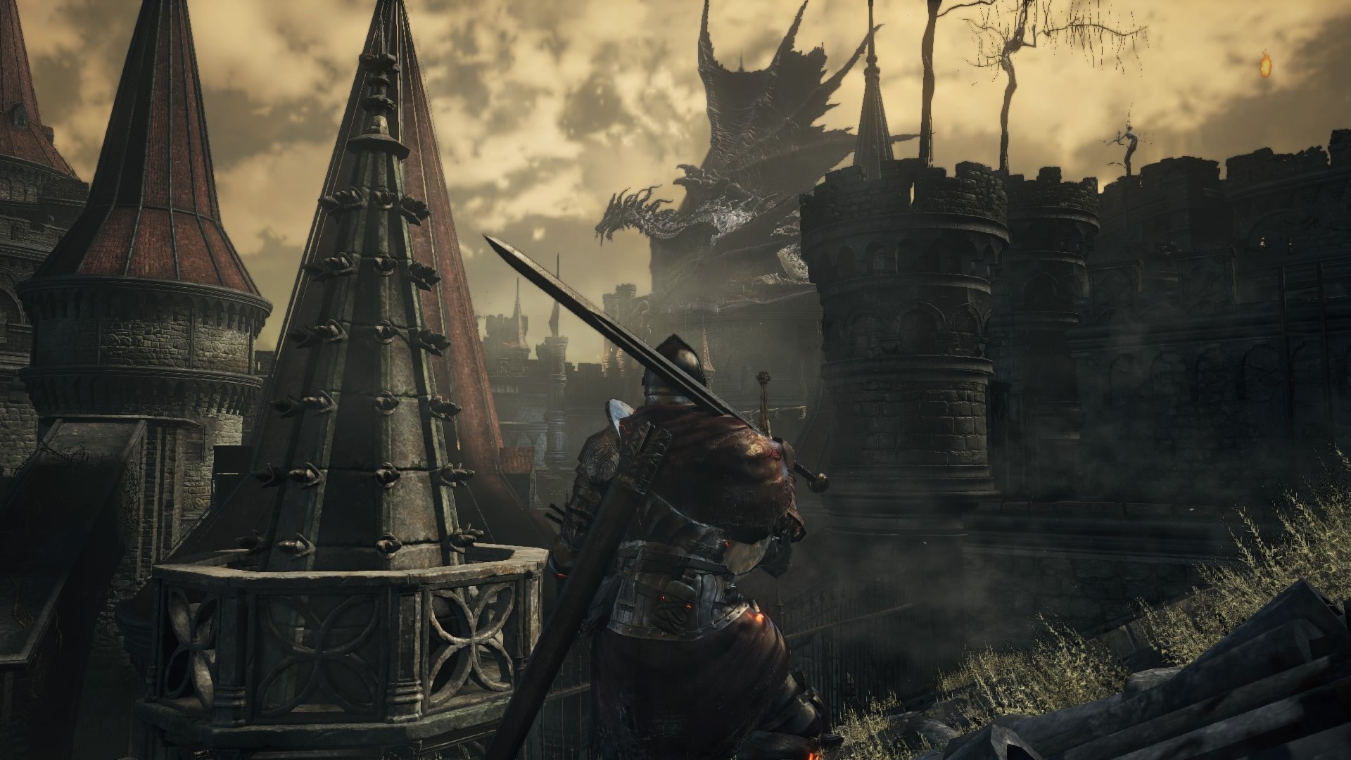 F1 2024 豪华版 截图14